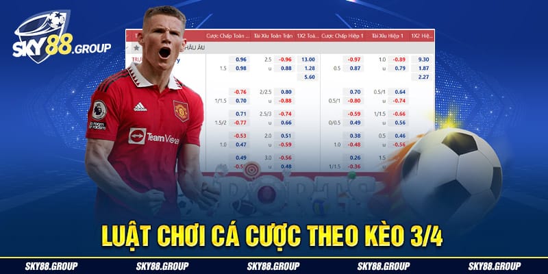 Luật chơi cá cược theo kèo ¾